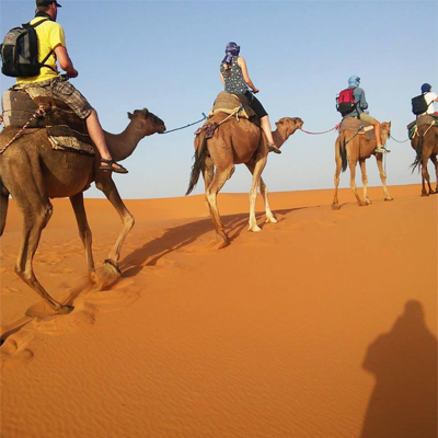 camel excursions