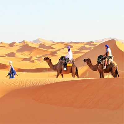 sahara camel trek