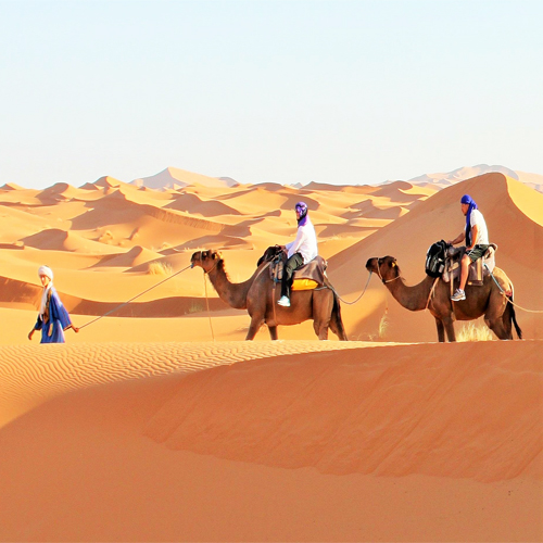 camel ride experience in Erg Chebbi